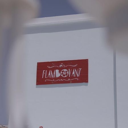 Apartamentos Flamboyant Adults Only プエルト・デル・カルメン 部屋 写真