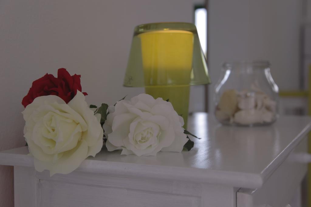 Apartamentos Flamboyant Adults Only プエルト・デル・カルメン 部屋 写真